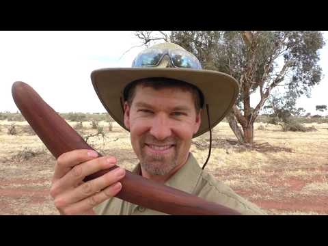 Aussie Man Hunts Rabbits On The Run With A Hunting BoomerangThrowstick - Ep. 16
