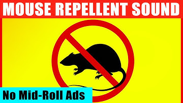 Mouse & Rat Ultrasonic Deterrent. 12 Hours of Anti-Rat Repellent Sounds (Guaranteed to Scare Mice)