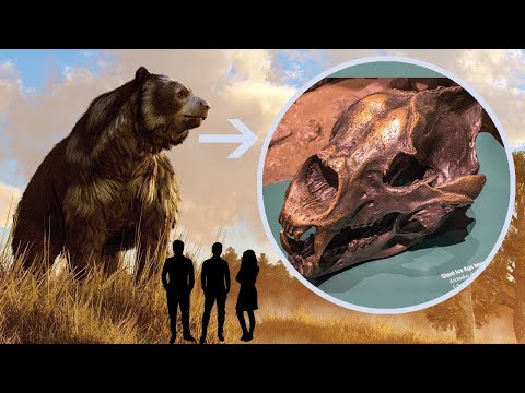 9 Reasons Why the Short-Faced Bear May Have Been the Most Terrifying Animal in History