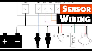 ECU Engine Wiring DIY | Important Sensors + how to wire them | Part 2 | CLT, IAT, TPS, AFR | RUSEFI