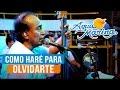 Agua Marina - Como haré para Olvidarte (En Vivo)