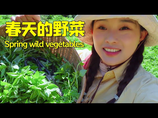 春天到了，去山上摘点野菜给家人做美味的野菜大餐把！| let's go up the mountain to pick some wild vegetables 【叫我阿霞Channel】 class=