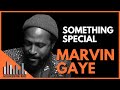 Capture de la vidéo Marvin Gaye | Something Special Documentary - What's Going On Album, Smokey Robinson, Tammi Terrell
