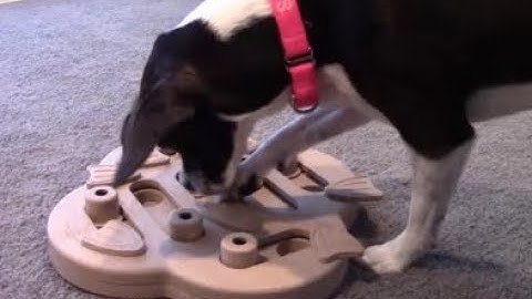 Review: Nina Ottoson Hide N