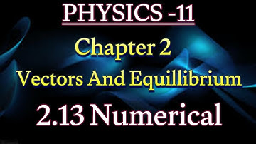 numericals chapter 2 class 11 physics | numerical 2.13 physics class 11