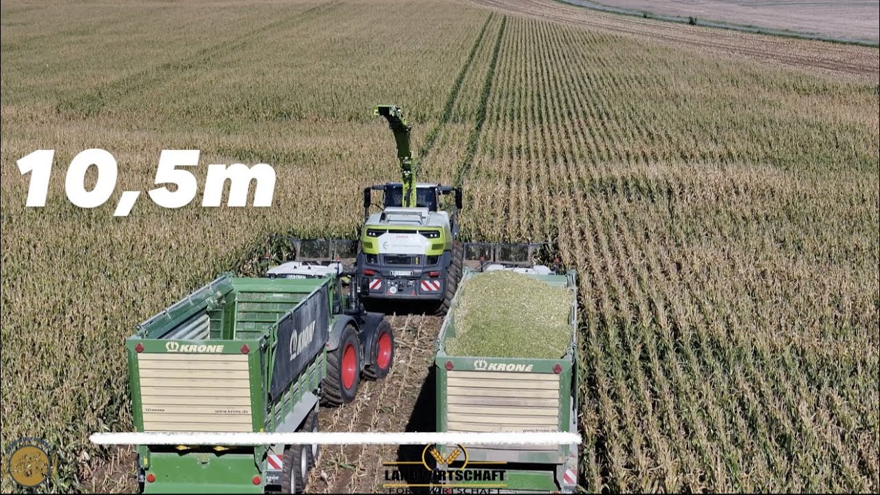 Hier sieht man den Vorteil des 10,5 Maisgebiss was am 1110PS Jaguar 1200 Angebaut is Maisernte Claas