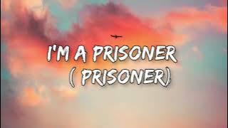 Lucky Dube - I'M A PRISONER (PRISONER) (Lyrics video)
