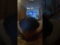 Part 5 day 41 best push up daily routine challenge #pushups #like #shorts #subscribe #workout #fypシ