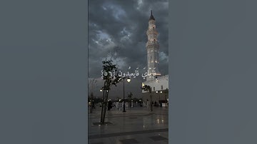سورة العنكبوت#فلسطين_حرة #القرآن_الكريم #راحة_نفسية