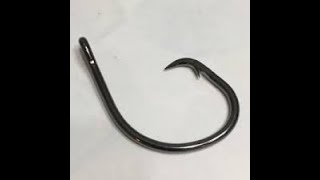 How to put shrimp on a circle hook the right way