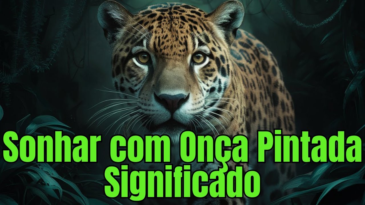Sonhar Com Onça Pintada Significado O Que Esse Animal Poderoso Está ...