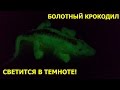 КРОКОДИЛЫ & Ко МАКСИ. БОЛОТНЫЙ КРОКОДИЛ. *DeAGOSTINI*