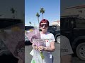 Surprise stranger with flower