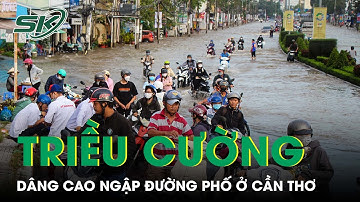 Triều Cường Dâng Cao Ở Cần Thơ, Người Dân Chật Vật Dắt Xe Chết Máy Giữa Biển Nước | SKĐS