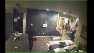 Alaska earthquake: Home surveillance video shows 20 seconds of chaos as quake hits Palmer