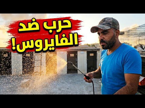 بعد ما المرض خرب السطح عملنا تنضيف شامل للسطح 🤔😱