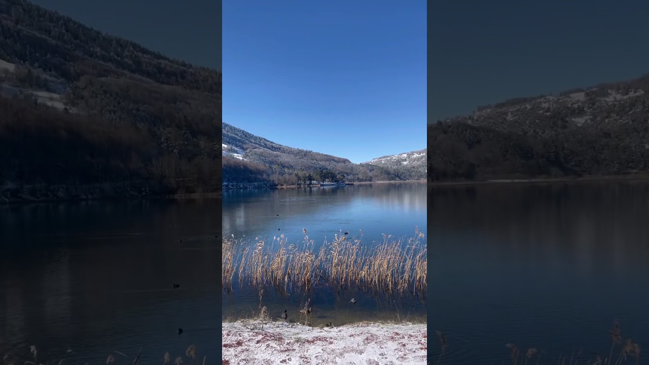 Nature in winter❄️nature