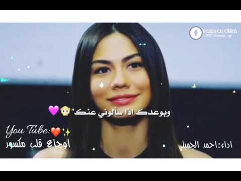 القلب مايهوى 