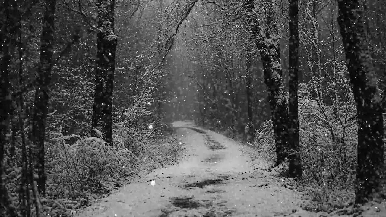 Savage Winter Storm Ambience┇Powerful Freezing Blizzard & Deep Howling Wind for Sleep and Relaxation