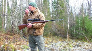 видео: 4 ЧАСА ПО ЛЕСУ РАДИ ХОРОШЕГО МОМЕНТА / ТРУДОВАЯ ОХОТА НА БОРОВУЮ ПТИЦУ. ОХОТА С МЕЛКАШКОЙ НА РЯБЧИКА картинка: 4 ЧАСА ПО ЛЕСУ РАДИ ХОРОШЕГО МОМЕНТА / ТРУДОВАЯ ОХОТА НА БОРОВУЮ ПТИЦУ. ОХОТА С МЕЛКАШКОЙ НА РЯБЧИКА