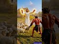 #jesus #amen #oraçãoforte #oracsodameianoite #oraçãododia #oração #shorts
