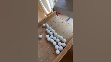 Marble Run (Rotating Bucket, Wiggling, Wooden Sound Device and Aquarium Course) #5 #ASMR