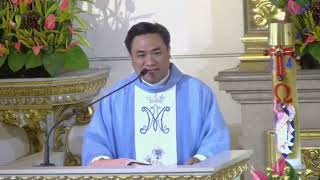 44th Easter Mystery: The Conqueror of the World. Homily of Fr. Jason Laguerta May 13 @ 7AM by Sta. Maria Goretti Parish 4,226 views 6 days ago 12 minutes, 7 seconds