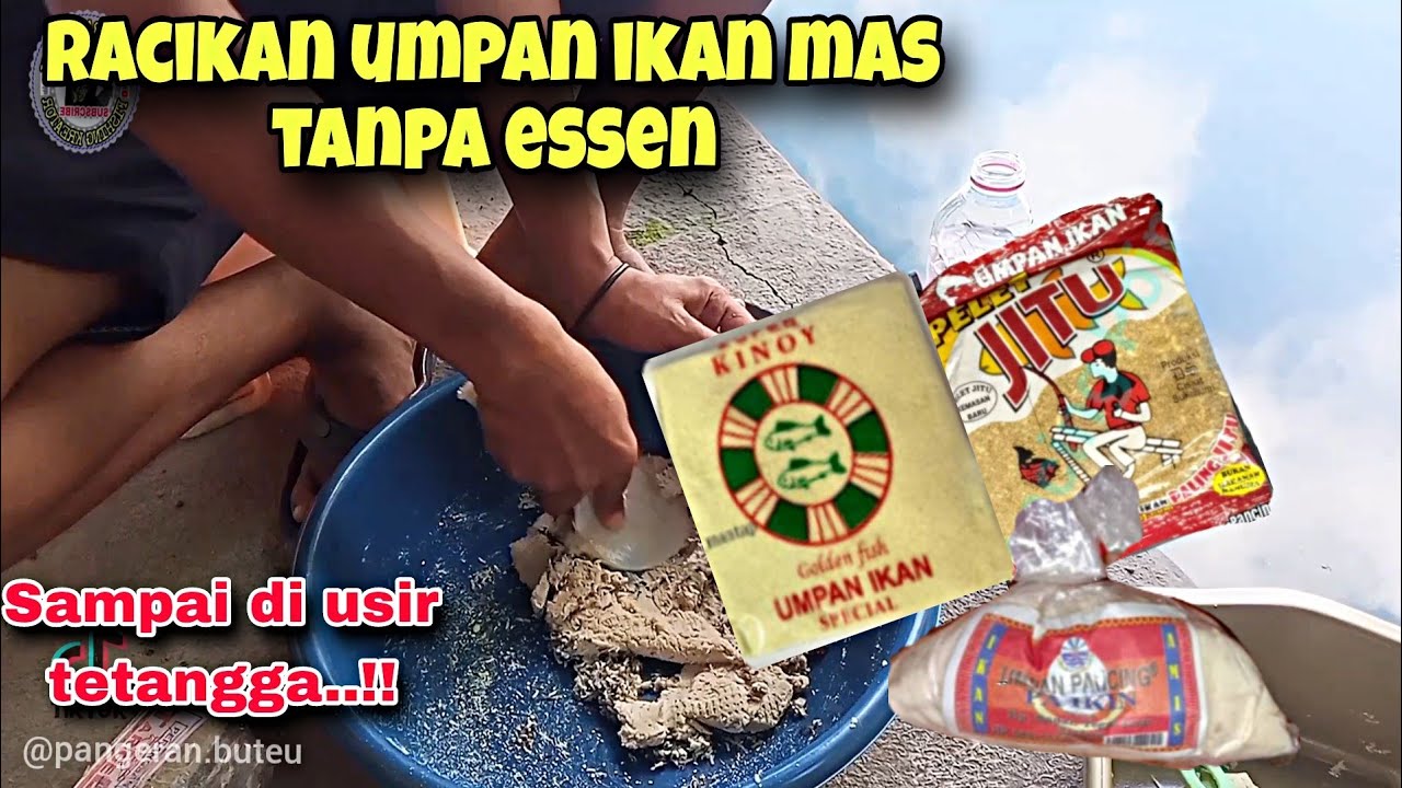 RACIKAN UMPAN JITU IKAN MAS TANPA ESSEN‼️TONTON ABIS KALO GAK PERCAYA SAMPAI DI TUDUH PAKAI ESSEN