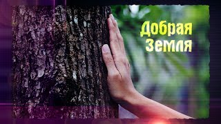 Мы ДЕТИ Земли ОДНОЙ 🌿ХорошО-да-ЛаднО - Добрая Земля 🌞Песни для Души