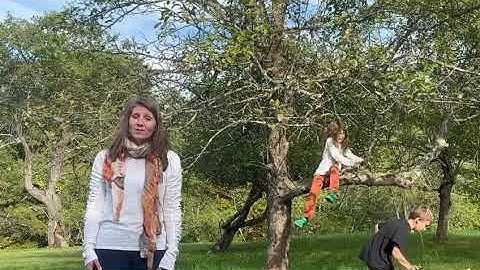 NH Healthy Climate Volunteer: 2024 Annual Fundraising Campaign