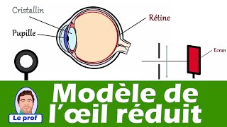 Modèle réduit de l'oeil 👁️ (vision et image) | Physique - Chimie