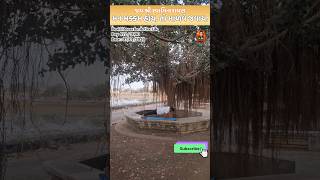 Day 872/1000 Days | Desi Fitness for Active Life | Satya Chetan | Mr JD Gujju | #1000dayschallenge