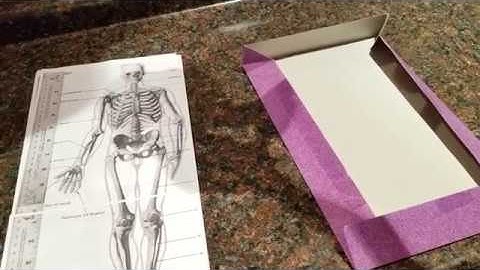 Beginning an Instructional DVD on Creating Armatures for Sculpting