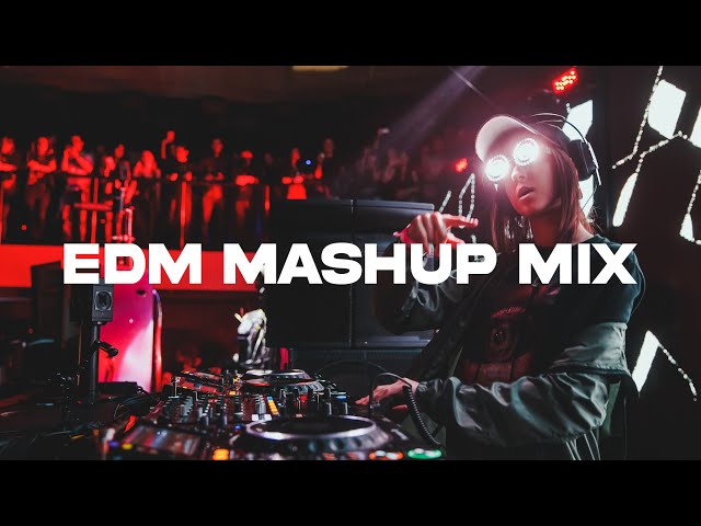 Party Mashup Mix 2024 - The Best Remixes & Mashups Of Popular Songs class=