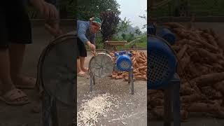 Download Lagu alat sederhana yang di rancang petani untuk mengolah singkong#shorts MP3 Download Lagu alat sederhana yang di rancang petani untuk mengolah singkong#shorts MP3