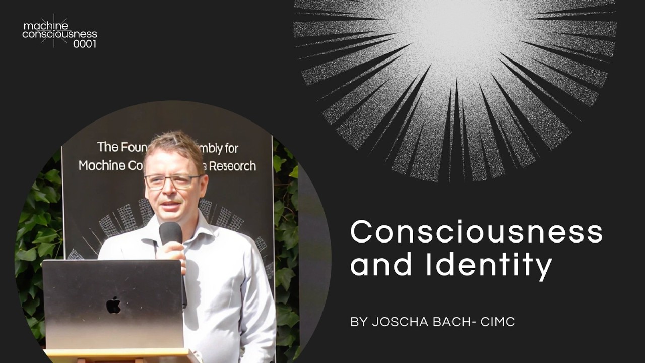 Consciousness as a Computational Process