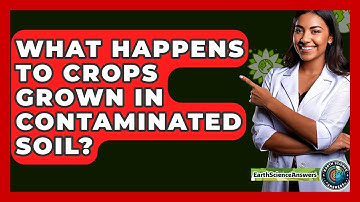 What Happens To Crops Grown In Contaminated Soil? - Earth Science Answers