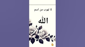 #تلاوة_خاشعة #تلاوة_هادئة #إسلام_صبحي #اسلام_صبحي #خواتيم_سورة_المؤمنون #سورة_المؤمنون #قرآن_كريم #