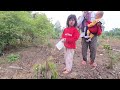 jalan&quot; bareng dede gaffi &amp; nayla merdu suasana pagi di pondok hutan, eps899