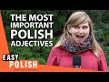 Top 50 Polish Adjectives Every Beginner Must Know | Super Easy Polish 20