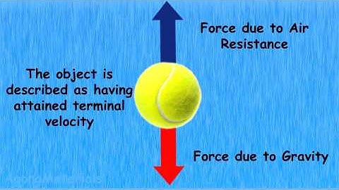 Terminal Velocity Animation
