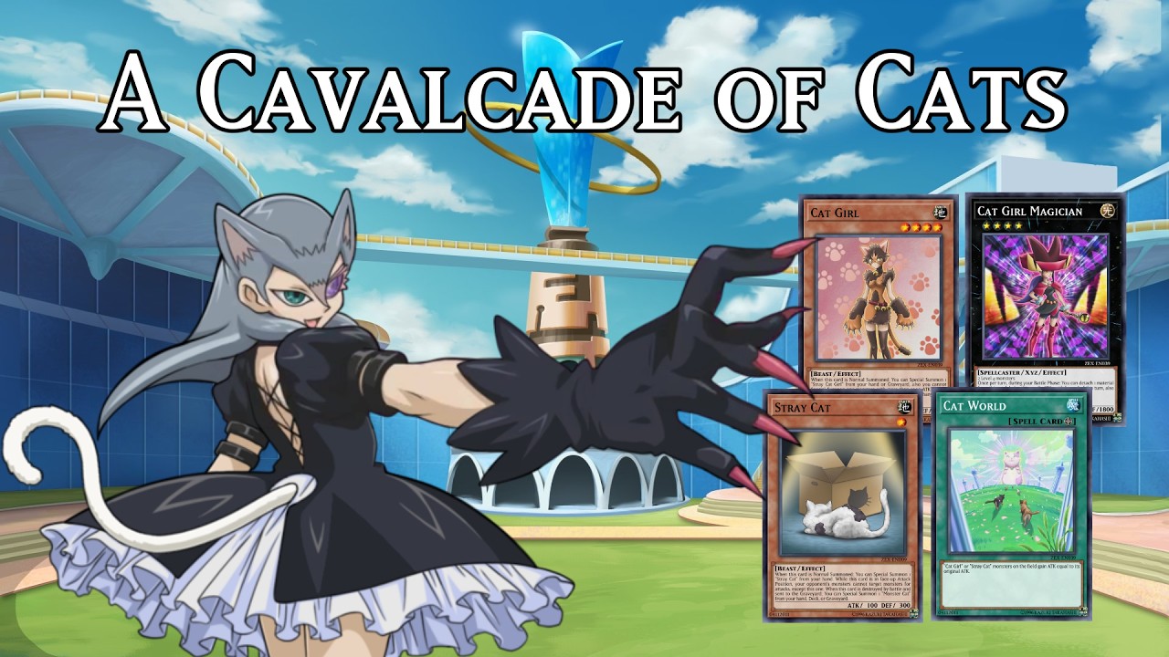 yugioh zexal cathy deck Complete Custom for Yu-Gi-Oh! yugioh zexal characters decks quinton