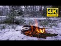 🔥 Cozy Campfire in the Winter Forest (12 HOURS). Campfire with Burning Logs and Nature Sounds
