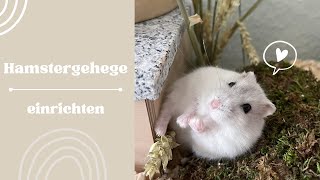 Hamstergehege einrichten für Zwerghamster  | Hamsterstübchen