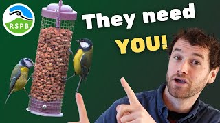 Rspb Big Garden Birdwatch Everything You Need To Know 2026