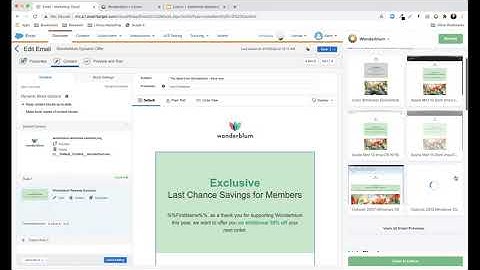 LookupAnswers   How to use Litmus in your SFMC Workflow
