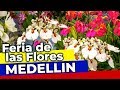 Visitando La feria de las Orquídeas de Medellín, Colombia | por Finca Dracula, Chiriquí, Panamá