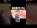 【猫ミーム】別に悪くないのに