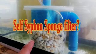 DIY Self Syphon Sponge Filter