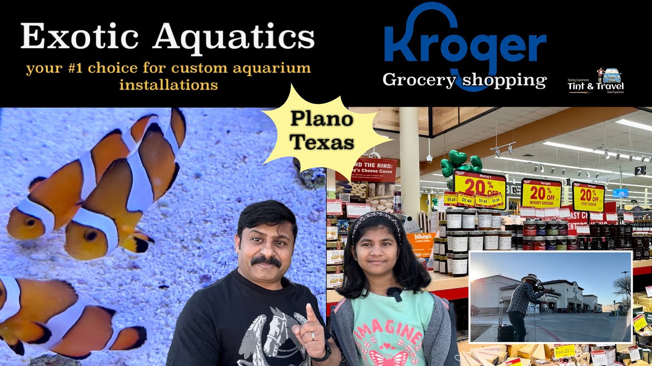 Exotic Aquatics Dallas Aquarium super store Kroger Grocery Shopping